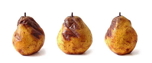Photo of rotten pear in three positions