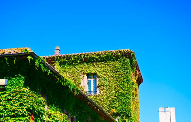 istock Carcassonne, France 1722441334