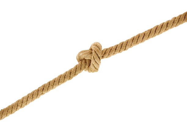 a rope with a knot on a white background - repsknop bildbanksfoton och bilder