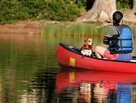 Beagle riding in a canoe while woman fishes.