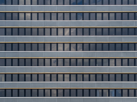 Windows on a skyscraper facade.