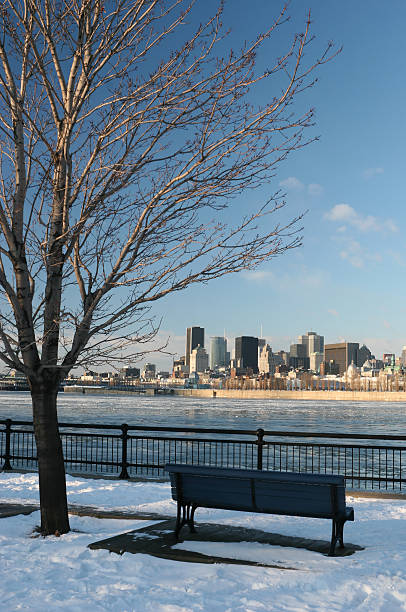 istock Montreal City Park in Winter 172244760