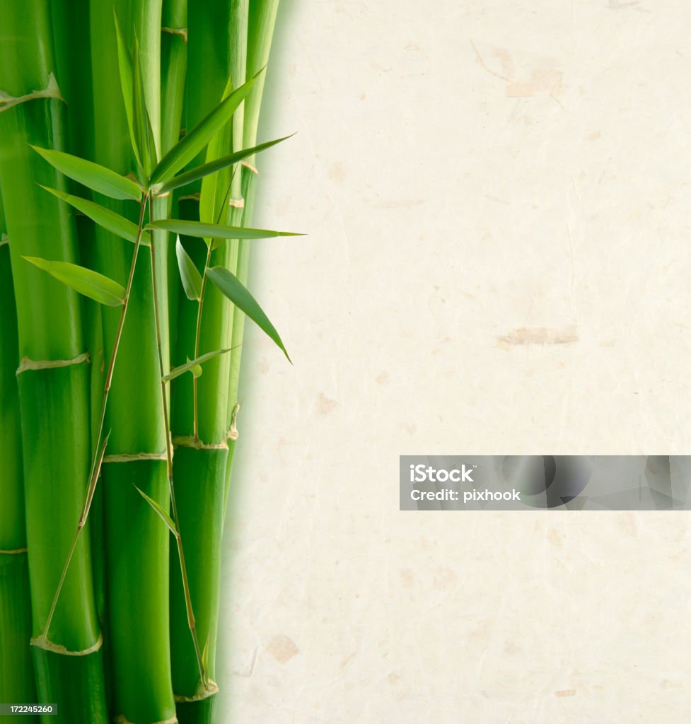 Papel de bambú y arroz - Foto de stock de Bambú - Familia de la Hierba libre de derechos