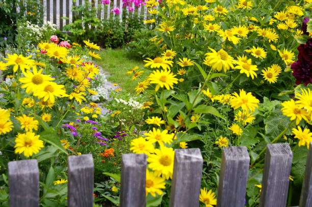 istock Flowers at the fence 3 172245262