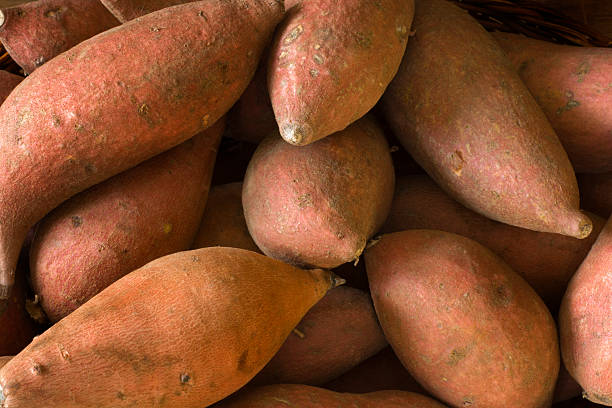 Large quantity of sweet potatoes are piled high within a woven basket. The potatoes are a light brownish-orange color and appear fresh and ripe. The basket is made of natural light brown woven material.