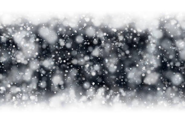 Winter snow image for holiday season. Hand drawn digital illustration.