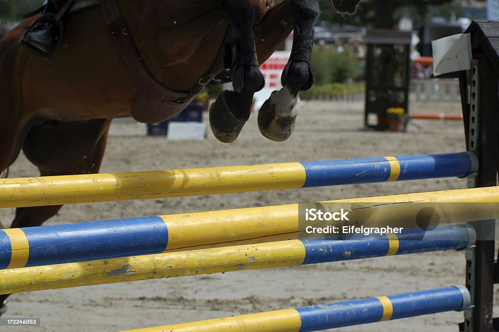 말 뛰어내림 시리즈 - 로열티 프리 Hurdling - Horse Racing 스톡 사진