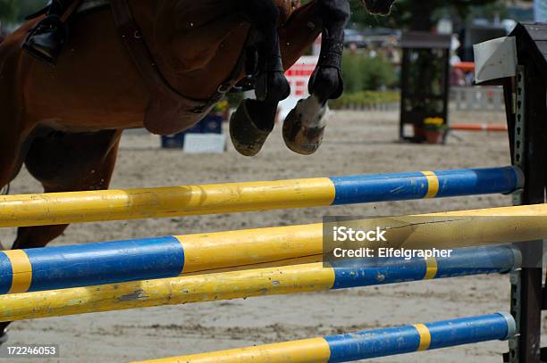 Koń Skokowy Serii - zdjęcia stockowe i więcej obrazów Brązowy - Brązowy, Czarny kolor, Czerwony