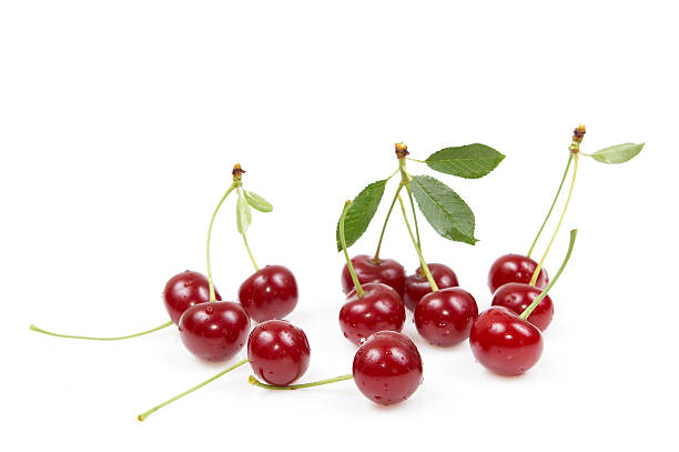 recién cherrys aislado en blanco - sour cherry cherry sour taste cute fotografías e imágenes de stock