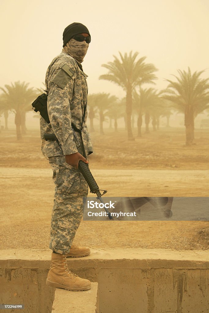 Soldado Semilarvatus Na Tempestade de areia - Royalty-free Deserto Foto de stock