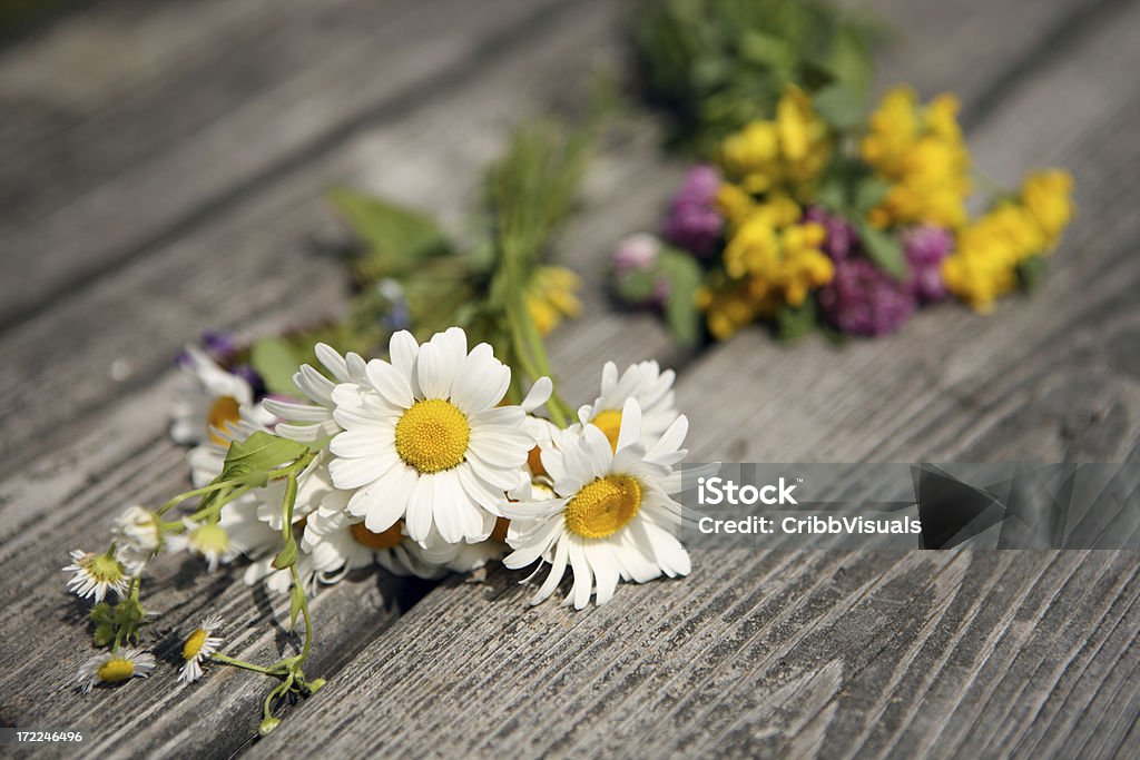 Wild Blume Blumensträußchen auf rustikal Holz Tisch im Sommer - Lizenzfrei Blume Stock-Foto