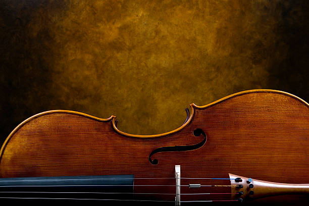 Closeup of classical violin, viola on white background