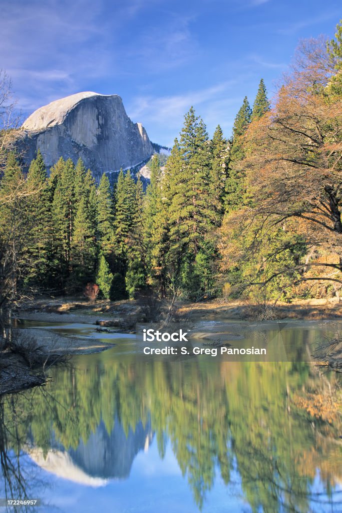 Half Dome - Photo de Arbre libre de droits