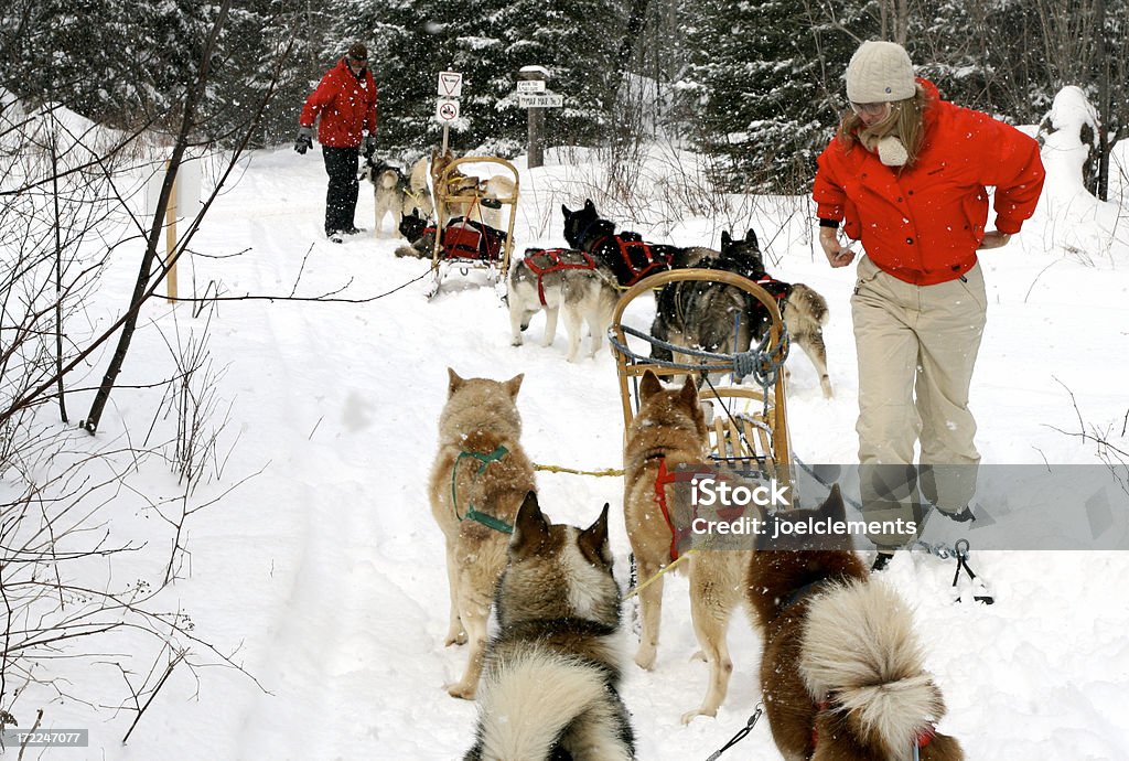 Hundeschlitten - Lizenzfrei Kanada Stock-Foto