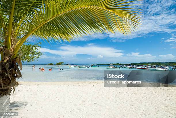 Playa Tropical Foto de stock y más banco de imágenes de Agua - Agua, Aislado, Arena