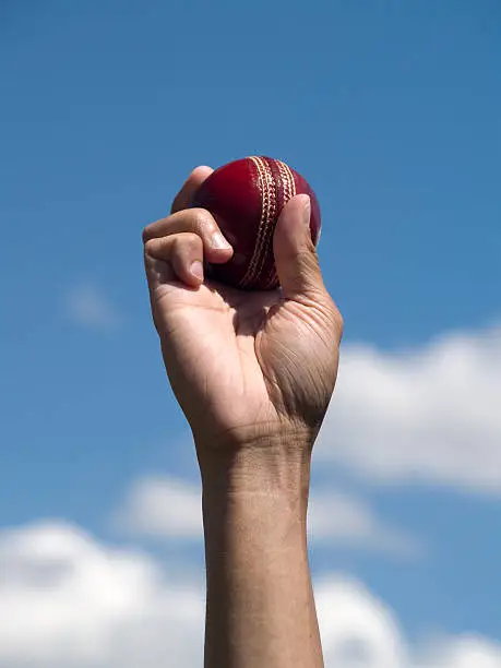 A Cricket Bowler With Ball In Hand. Copy Space.