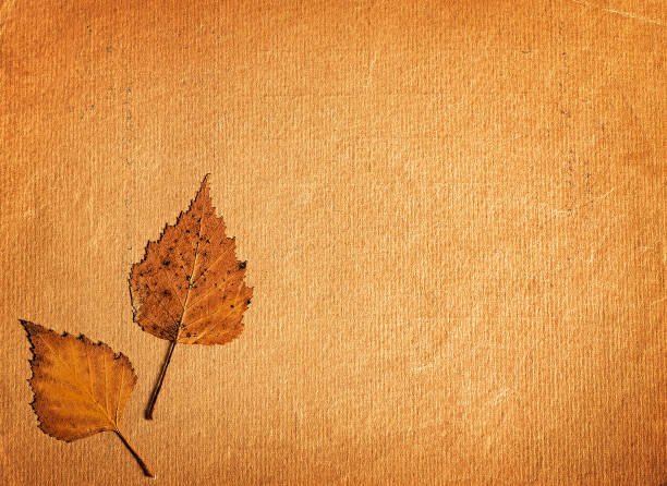 istock Autumnal Leaves and Old Paper 1722480319