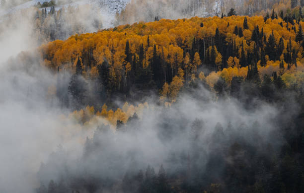istock Foggy clouds on autumn colored mountain forests 1722483575