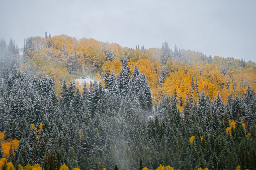 Clouds hang low over autumn forests, mingled with snow