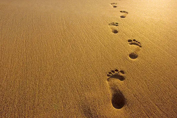 Photo of Footprints
