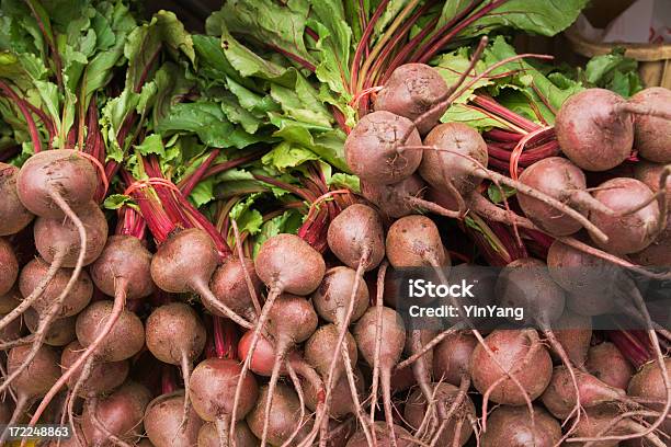 Rosso Barbabietole Nel Mercato Degli Allevatori - Fotografie stock e altre immagini di Fiera agricola - Fiera agricola, Minneapolis, Affari