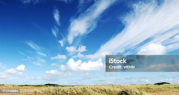 Panorama Da Dinamarca Com Fofo Nuvens No Céu Azul - Fotografias de stock e mais imagens de Ao Ar Livre - Ao Ar Livre, Azul, Campo agrícola