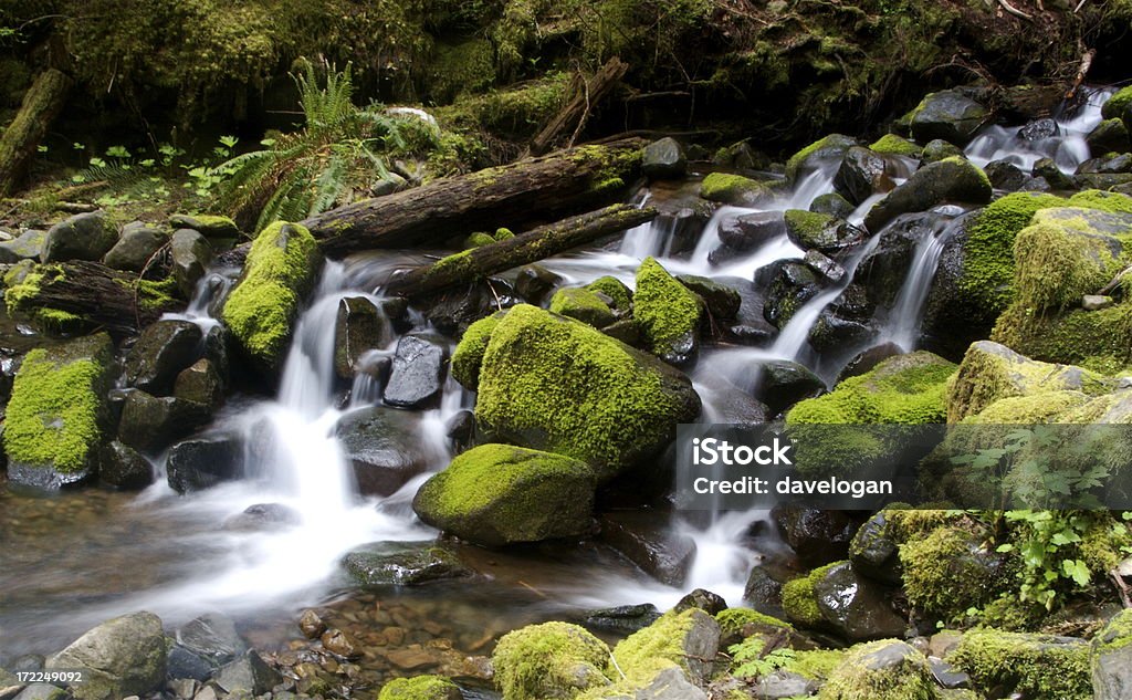 Serie di piccole cascate - Foto stock royalty-free di Acqua