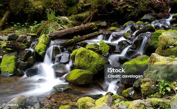 Serie Di Piccole Cascate - Fotografie stock e altre immagini di Acqua - Acqua, Ambientazione esterna, Bagnato