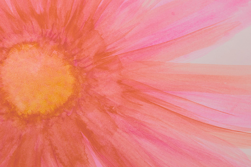 Bright pinks pop out in the watercolor painting of a daisy.