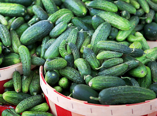istock Cucumbers Bushel Baskets at Market 172249217