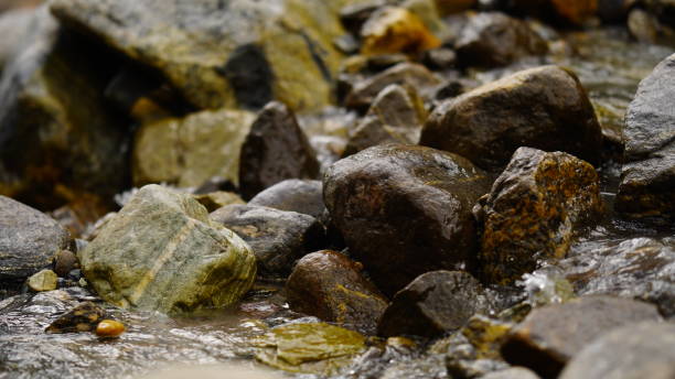 river wet rocks in uttarakhand closeup shot