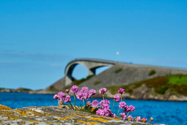 istock popular bridge along the famous atlantic road in Norway 1722500832