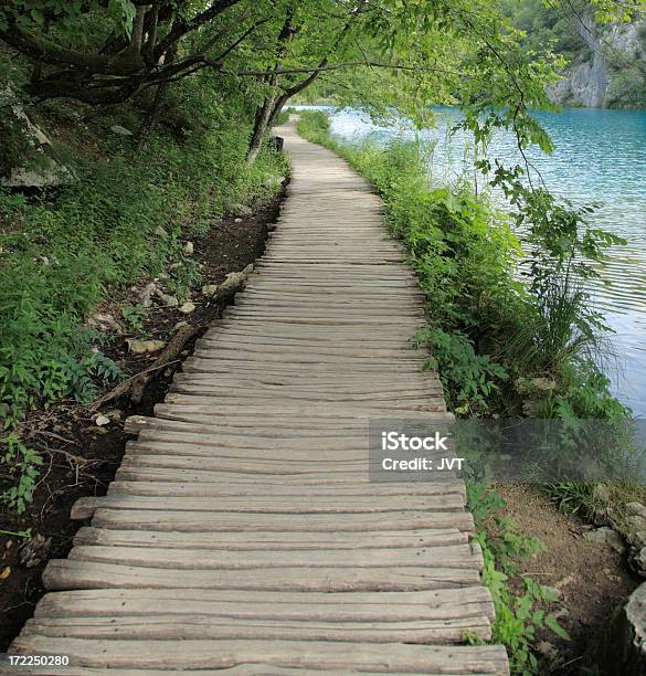 Hölzerner Fußweg Im Nationalpark Plitvicer National Park Kroatien Stockfoto und mehr Bilder von Abenteuer