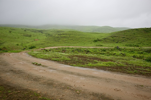 A scenic view of a dirt road in a green landscape on a cloudy day