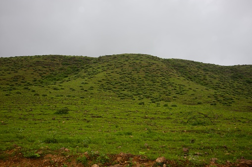 A scenic view of a landscape covered with green grass on a cloudy day