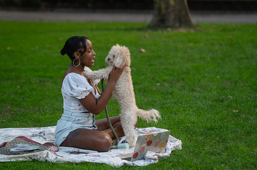 Young beautiful woman playing with her toy poodle  dog at lawn, Madison Square Park, New York
