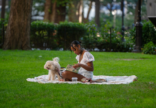 Young beautiful woman working on laptop, reading and playing with her toy poodle dog at lawn, Madison Square Park, New York