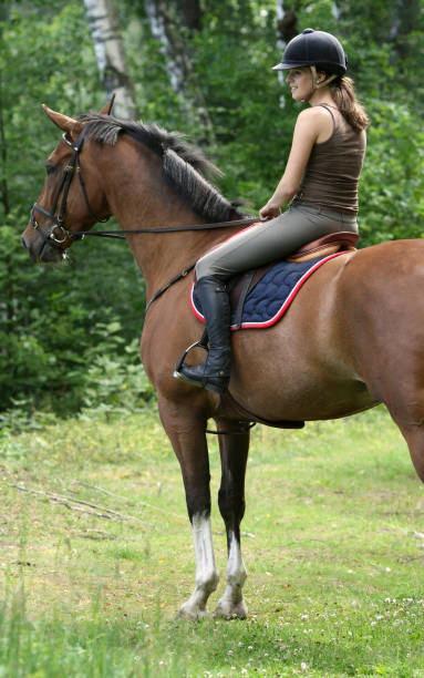 istock Girl posing on horseback 172250560