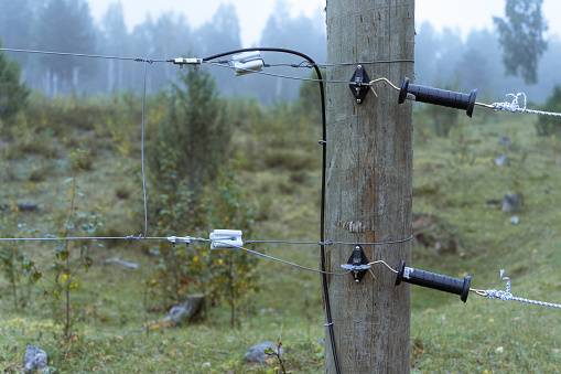 Electric fence on a wooden pole in a misty forest