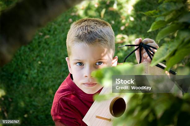 Casetta Per Gli Uccelli Builder - Fotografie stock e altre immagini di Accudire - Accudire, Albero, Albero deciduo