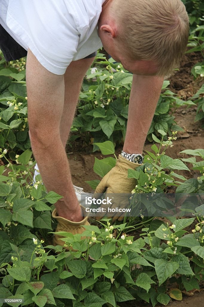 Jardin de travail - Photo de Action caritative et assistance libre de droits