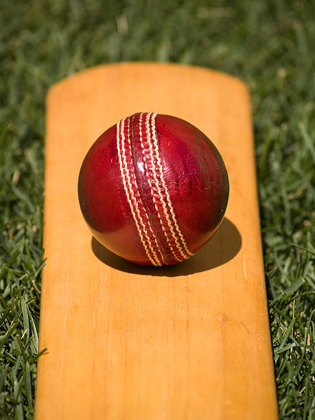 Leather Cricket Ball A Leather Hand Stitched Cricket Ball On Bat. Copy Space. test cricket stock pictures, royalty-free photos & images