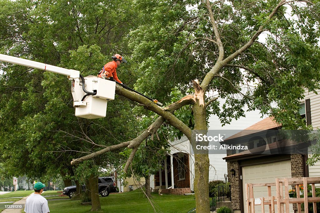 Schneiden storm beschädigt tree - Lizenzfrei Baum Stock-Foto