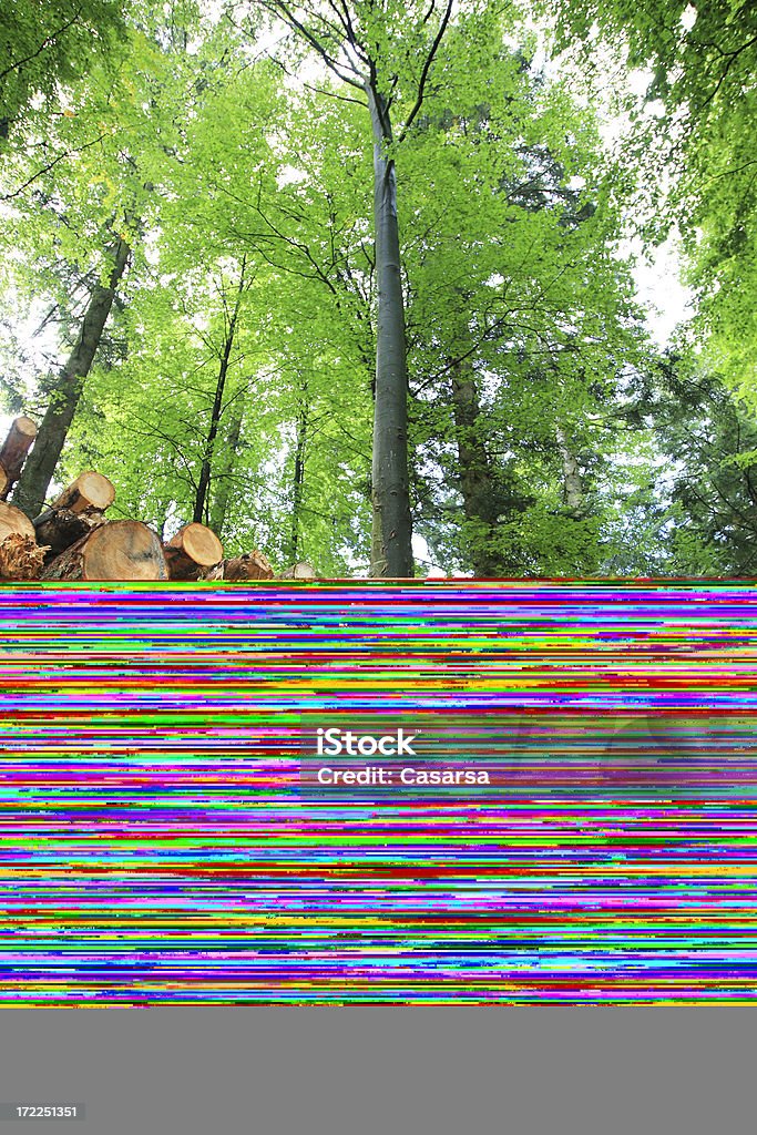 De madeira stock - Foto de stock de Bosque - Floresta royalty-free