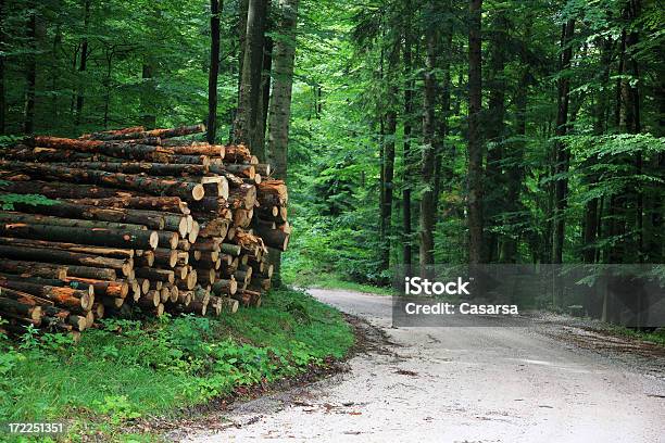 Foto de De Madeira Stock e mais fotos de stock de Bosque - Floresta - Bosque - Floresta, Brilhante - Luminosidade, Cena Rural