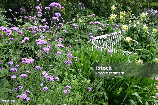 Grenze Pflanzen In Einem Englischen Landhausgarten Stockfoto und mehr Bilder von Blume