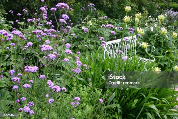 Bordo Stabilimenti In Un Cottage In Giardino Inglese - Fotografie stock e altre immagini di Fiore