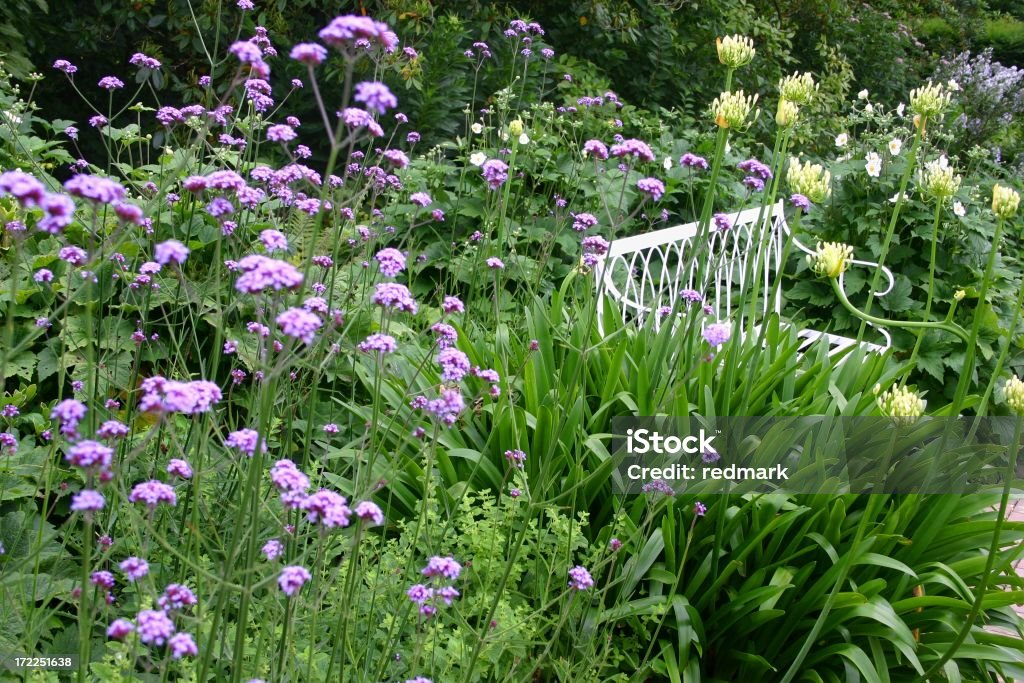 Fronteira de plantas em um jardim inglês - Foto de stock de Banco - Assento royalty-free