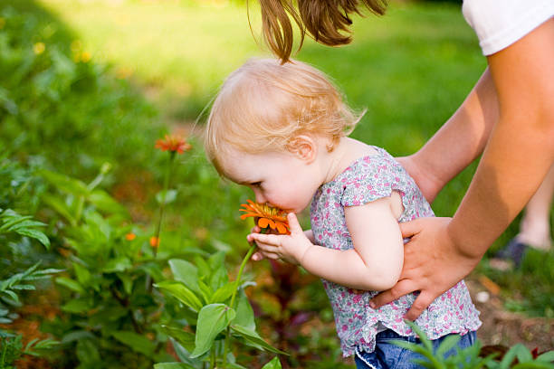 Adorable little girl smelling the flowers in a summer garden.