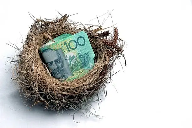 Photo of Savings Nest Egg